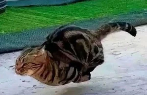 Uważajcie na hackerów!