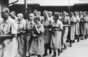 Austriacy współsprawcami wielu zbrodni z Holokaustem na czele