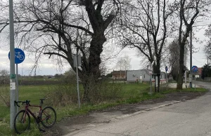 Najbardziej oblegana droga rowerowa w Polsce.