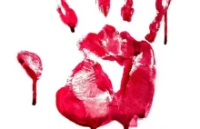 Dlaczego wojna na Ukrainie jest potrzebna Unii Europejskiej?