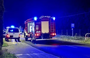 Konie wybiegły na jezdnię. Kierowca w szpitalu