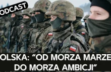 Rosyjski ekspert skrupulatnie opisuje współczesne Wojsko Polskie