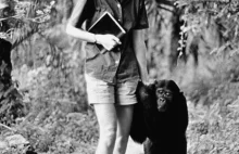 Zmarła Jane Goodall