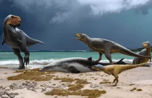 W Maroku odkryto skamieniałości 2 nieznanych gatunków dinozaurów