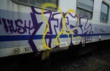 Grafficiarz dewastował wagony i wiadukty kolejowe [ZDJĘCIA]