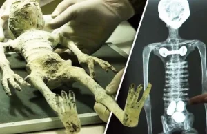 Jaime Maussan i ostatnie wydarzenia w Meksyku