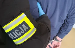 Pijany 21-latek potrącił policjantów i uniknął aresztu