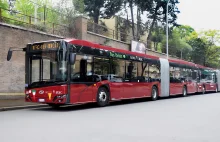 Giga zamówienia Solaris dla Rzymu! Łącznie aż 354 autobusy!