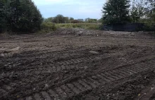 Osiedle blisko przyrody w Warszawie. Deweloper zasypał staw z bobrami