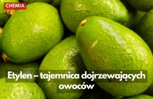 Co ma wspólnego etylen z dojrzewaniem owoców
