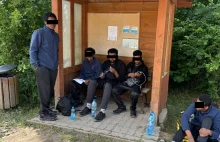 Nielegalni imigranci w Bialowiezy terroryzują wieś Czerlonki