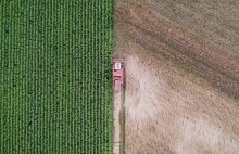 Mercosur dobije rolnictwo? "Nie chcemy rekompensat, wolimy ochronę produkcji"