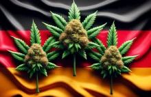Ogromny wzrost recept na medyczną marihuanę po legalizacji w Niemczech
