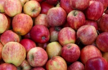 W tym Polska nie ma sobie równych. Zdominowaliśmy Unię