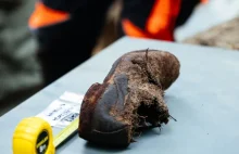 Szczątki trzech mężczyzn odnalezione na Westerplatte