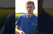 Jak wygląda rolnictwo na Ukrainie?