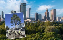 Zazielenianie stolicy. Posadzą 2137 nowych drzew i krzaków! Nowoczesna Warszawa