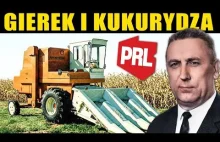 Jak Gierek sprowadził do Polski technologię uprawy kukurydzy na ziarno?