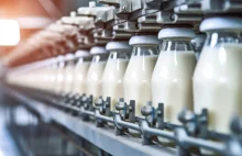 Niemcy chcą przejąć warszawską mleczarnię