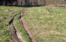 Rezerwat przyrody rozjeżdżany przez crossowców