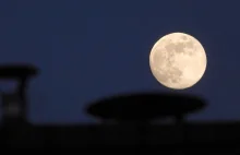Pełnia Księżyca w styczniu 2024. Kiedy Wilczy Księżyc?