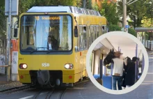 Koń wsiadł do stuttgarckiego tramwaju [FILM] - Raport Kolejowy