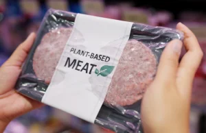 Kolejny kraj zakaże mięsnych nazw dla zamienników? "Chodzi o sprawiedliwość"