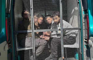 Zatrzymali przemytników, wydalono z naszego kraju 160 cudzoziemców