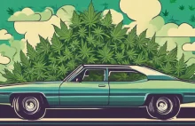 Legalizacja marihuany w wybranych stanach nie wpłynęła na ilość wypadków drogowy