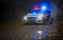 Chińskie patrole policji będą pilnowały porządku na Węgrzech