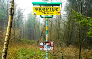 Skopiec - Korona Gór Polski
