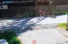 Bardzo dziwna nagonka na hulajnogi elektryczne...