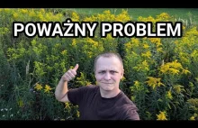 Z tą ROŚLINĄ mamy POWAŻNY problem!