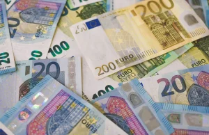 Euro w Polsce – "za" i "przeciw" wprowadzeniu europejskiej waluty