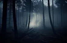 Hipoteza ciemnego lasu przeraża. Tłumaczy brak kontaktu z obcymi?