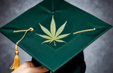 Legalizacja marihuany w stanach USA wpływa na wybór uczeni