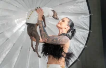 Tak wygląda pierwszy w Polsce butik dla psów i ich właścicieli