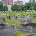 Miejski ogródek ma średnio 6 razy wyższy ślad węglowy niż upraw konwencjonalnych