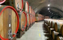 Ćemovsko Polje - największa winnica w Europie