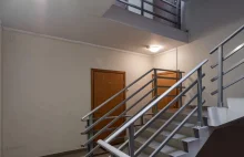 Pasożyt poleciał do Wyborczej na skargę ze nie może w spokoju pasożytować