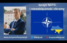 Szczyt NATO i niewdzięczność Ukrainy [Komentarz]