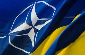 Zaproszenie Ukrainy do NATO było by sygnałem wobec Rosji - Polon.pl