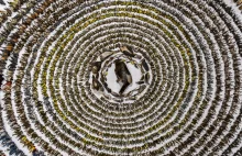 Odlotowe życie ptaków. Znamy laureatów konkursu Bird Photographer of the Year