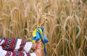 Węgry zakazały tymczasowo importu produktów rolnych z Ukrainy