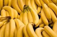 "Myślisz, że to banany...". Wszyscy dają się nabrać