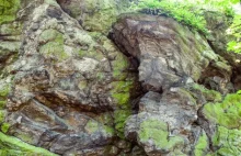 Najstarsze zbadane skały w Polsce mają około 600 milionów lat