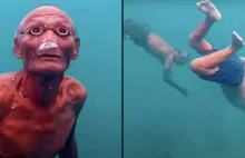 Ewolucja Homo Sapiens - przystosowanie do nurkowania