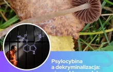 Istotny wpływ psylocybiny na redukcję zachowań przestępczych