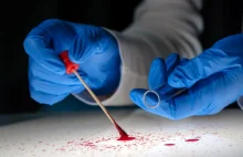 Przestępca seksualny zatrzymany po 20 latach. Zdradziło go DNA