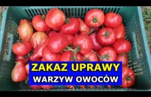 Będzie Zakaz Uprawy Warzyw i Owoców we Własnych Ogródkach Przydomowych?